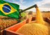 Brasil proyecta 140,3 millones de toneladas de maíz y ajusta expectativas por clima y rindes Cosecha de maíz en Brasil con cosechadora descargando granos y bandera brasileña en el campo durante la campaña agrícola