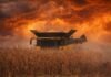 Maíz con rindes de hasta 98 qq/ha impulsa la campaña: la cosecha avanza al 15% pese a las lluvias Cosechadora trabajando en un lote de maíz seco bajo un cielo de tormenta con tonos naranja intensos y nubes cargadas, en plena campaña agrícola argentina