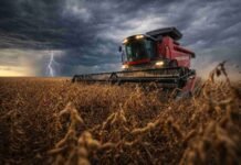 Clima: crecen las chances de El Niño para la campaña 2026/27 y el campo mira la posibilidad de más lluvias Cosechadora Massey Ferguson cosechando soja bajo tormenta con relámpagos en el campo argentino