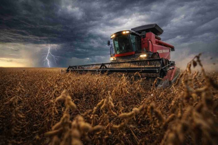 Cosechadora Massey Ferguson cosechando soja bajo tormenta con relámpagos en el campo argentino