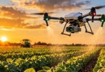 Drones ganan lugar en el agro y prometen mejorar rindes y eficiencia en el campo argentino