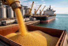 La soja salta hasta US$450 en Chicago y toca el precio más alto en casi dos años por la crisis en Medio Oriente