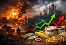 Guerra en Medio Oriente sacude al mercado agrícola: suben los granos en Chicago y los fertilizantes, mientras el maíz argentino toca mínimos en 8 años