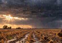 Lluvias en camino: el INTA prevé más agua para la campaña 2026/27 y hasta 60% de probabilidad de El Niño