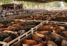 Cierre del mercado de hacienda el 17 de marzo