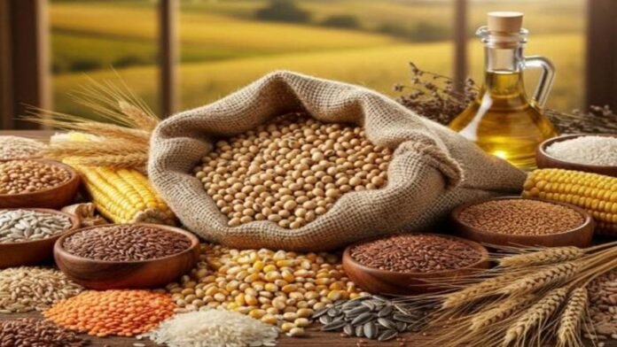 mercado-granos-soja-maiz-trigo-precios-agro-argentina