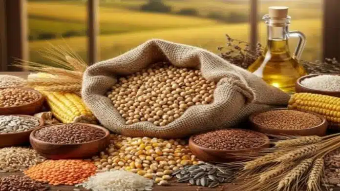 mercado-granos-soja-maiz-trigo-precios-agro-argentina mercado-granos-soja-maiz-trigo-precios-agro-argentina