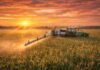 Fertilizantes en alerta: suben los precios y crece el riesgo de abastecimiento en el agro argentino Pulverizadora Fendt Rogator trabajando en un lote de maíz al amanecer en la Pampa húmeda argentina, con sol en el horizonte y cielo naranja iluminando el cultivo.