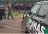 Roban 190 cabezas y recuperan 161 en un feedlot a 80 km: golpe a la seguridad rural en Santa Fe Operativo de la Policía Rural Los Pumas en un feedlot de Santa Fe tras el hallazgo de ganado robado en un caso de inseguridad rural