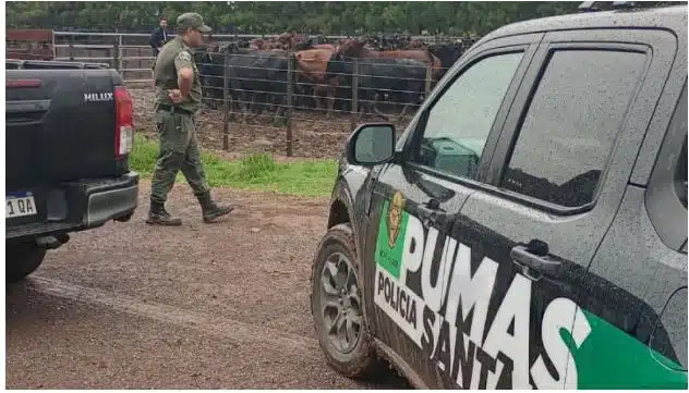 Operativo de la Policía Rural Los Pumas en un feedlot de Santa Fe tras el hallazgo de ganado robado en un caso de inseguridad rural