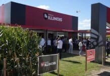 Maíz: semillas Illinois lanza plan para duplicar ventas de bolsas al 2030 y acelera su apuesta genética