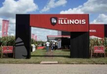 Illinois se jugó fuerte en maíz: lanzó nueva estrategia y proyecta duplicar ventas tras Expoagro Stand de Semillas Illinois en Expoagro 2026 con cultivo de maíz y presentación de su nueva estrategia comercial enfocada en genética y crecimiento del cultivo en Argentina