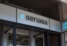 El Gobierno agiliza la aprobación de alimentos transgénicos y simplifica trámites para nuevos desarrollos