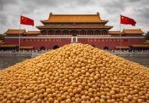 🚨 China detecta plagas en soja uruguaya y se enciende una alerta en el comercio de granos Montículo de soja en primer plano frente a la Ciudad Prohibida en China, simbolizando el comercio internacional de granos.