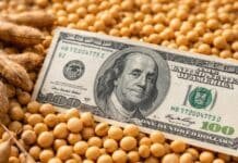 Retenciones: cayó la recaudación 20% en febrero y el Gobierno define si puede bajar más sin perder superávit