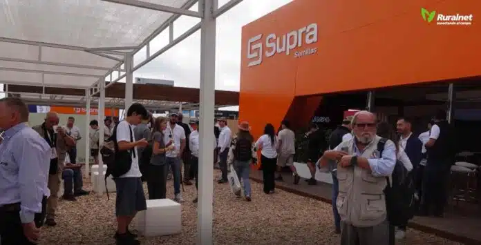 Productores recorren el stand de SUPRA Semillas en Expoagro donde la marca presenta su estrategia en maíz para silo