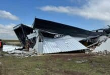 Temporal con ráfagas de 150 km/h dejó destrozos en Santa Fe y graves daños en zonas productivas Daños estructurales en instalaciones rurales tras un temporal en Santa Fe, con chapas retorcidas y galpón colapsado por fuertes ráfagas de viento.