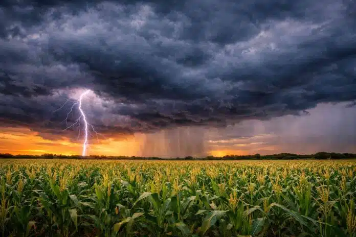 pronóstico meteorológico