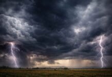 URGENTE: rigen alertas meteorológicos por tormentas con granizo y hasta 80 mm que amenazan gran parte del territorio nacional Portada de alerta meteorológico para ruralnet.com.ar: imagen dramática de dos relámpagos simultáneos impactando sobre un campo de cultivos bajo un cielo de tormenta severa.