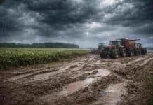 Se vienen 3 días inestables: atención a chaparrones y tormentas localmente intensas (4–6 de febrero)