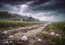 Alerta naranja: tormentas con hasta 70 mm y granizo afectan al norte del país