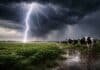 Lluvias de hasta 60 mm y tormentas fuertes impactan en Buenos Aires, La Pampa y otras tres provincias Tormenta intensa con relámpago impactando sobre un campo de la Pampa húmeda con vacas lecheras y lluvias fuertes en zona productiva argentina