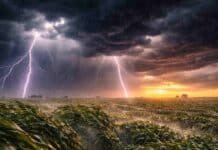 Tormentas fuertes avanzan con hasta 90 mm: alerta naranja y amarilla en gran parte del país