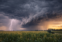 Hasta 80 mm de lluvia en camino: activan cuatro alertas meteorológicas en 9 provincias Tormenta y lluvia