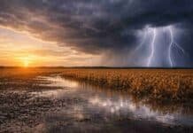 Se intensifican las tormentas: alerta naranja con lluvias de hasta 100 mm y riesgo para el campo en 10 provincias Relámpagos y lluvias intensas impactan sobre campo inundado mientras mejora el cielo en la zona núcleo