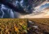 Tormentas fuertes y lluvias durante 48 horas complican al campo en la zona núcleo y el norte Tormentas fuertes con lluvias avanzan sobre soja lista para cosecha en la zona núcleo con contraste de clima seco y húmedo