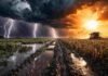 Tormentas fuertes y calor de hasta 37°C: riesgo de anegamientos y demoras en la cosecha en más de 15 provincias Tormentas con lluvias intensas y relámpagos sobre campo anegado contrastan con calor extremo y cosecha en la Pampa húmeda argentina