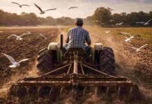 Suben 3% el seguro por desempleo rural: el mínimo pasa a $183.801 y el máximo a $367.602