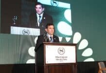 El girasol argentino vive un momento histórico y proyecta un salto productivo récord