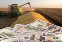 Tras un arranque flojo, el agro apunta a US$ 35.375 millones en 2026 y acelera el ingreso de dólares desde abril