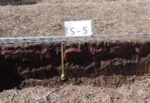 Se dispara el riesgo en 4 millones de hectáreas: la compactación del suelo puede recortar hasta 10 qq/ha en la próxima campaña Perfil de suelo agrícola en Argentina con distintas capas visibles y alto contenido de materia orgánica en superficie, análisis de estructura y profundidad en lote productivo.