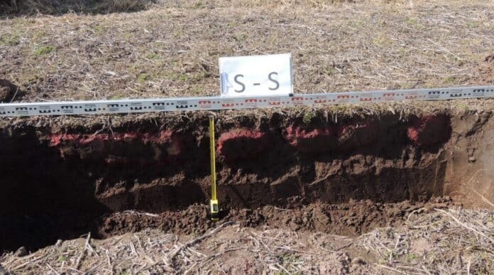 Perfil de suelo agrícola en Argentina con distintas capas visibles y alto contenido de materia orgánica en superficie, análisis de estructura y profundidad en lote productivo.