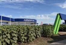 65 autos clásicos en ruta: Advanta lanza una caravana con su red para reforzar el vínculo con el productor Stand de Advanta en evento agropecuario con cultivo de girasol y estructura institucional en campo
