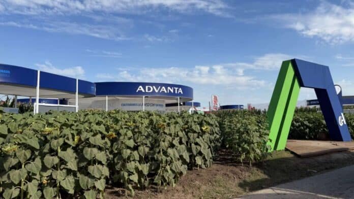 Stand de Advanta en evento agropecuario con cultivo de girasol y estructura institucional en campo