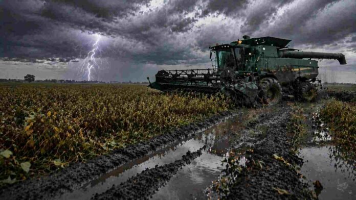 Cosechadora detenida en un lote de soja anegado en la Pampa húmeda, con barro profundo y un relámpago en el cielo, reflejando cómo el clima frena la cosecha.