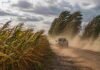 Ráfagas de hasta 80 km/h obligan a extremar precauciones en campo y caminos de 4 provincias Viento fuerte con ráfagas en zona rural de Argentina, camino de tierra con polvo en suspensión y cultivos inclinados por la intensidad del viento
