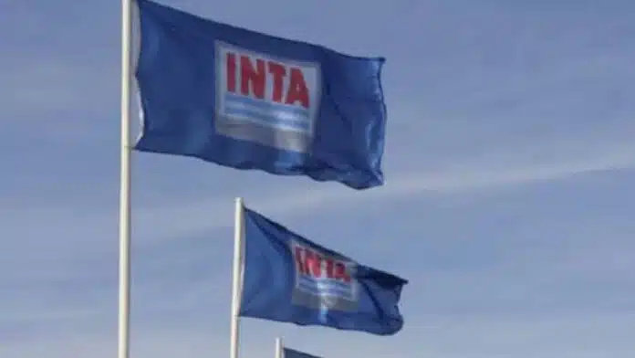 Banderas del INTA flameando frente a un cielo despejado, en el marco de la crisis operativa y presupuestaria que afecta al organismo en Argentina.