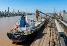Radiografía del origen de las exportaciones argentinas: el agro lidera, pero la energía gana terreno Buque granelero operando en terminal portuaria de Rosario con infraestructura de carga y silos en Argentina