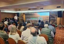 Nuevo herbicida para girasol: BASF lanza Vulcarus® y apunta al control de malezas difíciles desde la siembra Basf lanzó vulcarus en Asagir