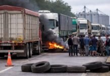 Más máquinas, menos ingresos: crecen las ventas pero cae la facturación del agro en 2025 Maquinaria agrícola y cosechadoras en campo argentino con dinero en primer plano que representa inversión y costos del agro