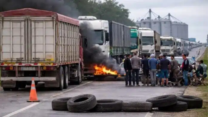 bloqueo-transporte-granos-puertos-argentina-ruralnet Maquinaria agrícola y cosechadoras en campo argentino con dinero en primer plano que representa inversión y costos del agro