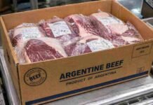 Récord y salto explosivo: la carne argentina vive su mejor marzo en años con precios que rozan el cielo Caja de carne vacuna argentina para exportación con cortes envasados al vacío en planta frigorífica