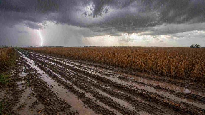 Camino rural con barro y huellas profundas bajo lluvia intensa y tormenta en un lote de soja de la zona núcleo argentina