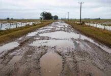 Productores del sudeste bonaerense van a la Justicia contra la tasa vial y las guías ganaderas Camino rural deteriorado con barro y agua acumulada tras lluvias intensas en zona agrícola argentina