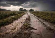 La Justicia anula la tasa vial: hasta 27,88% del cobro fue ilegítimo y deberán devolver dinero Camino rural totalmente anegado tras intensas lluvias, con agua cubriendo la traza y evidenciando el impacto del exceso hídrico en zonas productivas de Buenos Aires.