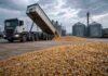 Mercado de Rosario: lluvias frenan la operatoria y el maíz muestra señales de suba Camión Scania descargando maíz en planta de acopio con silos al fondo y suelo seco en Argentina